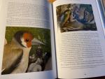 Sax, Boria - Avian Illuminations - a cultural history of birds