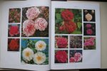 Mary Moody ; Harhness, Peter - Complete naslagwerk over rozen: ROZEN ENCYCLOPEDIE met meer dan 1100 klassieke en moderne rozen HET COMPLETE NASLAGWERK over ROZEN