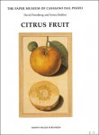 D. Freedberg, E. Baldini; - Harvey Miller. Citrus Fruit,