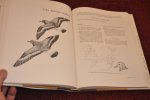 Johnsgard, Paul A. - The Plovers, Sandpipers, and Snipes of the World Johnsgard, Paul A. - The Plovers, Sandpipers, and Snipes of the World