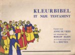 Vries, Anne de - Kleurbibel. It nije testament