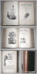 CHENU, DR., - Encyclopédie d'histoire naturelle: Botanique, 1re et 2me partie. Avec la collaboration de M. Dupuis.