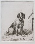 Moorrees, Christiaan Wilhelmus (1801-1867) - Etching on chine collé/ets: Dog on a chain (Hond aan ketting).