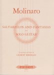 Molinaro, Simone (Biberian bew.) - Saltarellos and Fantasias Selectas for Solo Guitar
