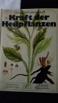 Furlenmeier, Dr. med. M. - Kraft der Heilpflanzen.