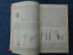 Seubert, Moritz. - De plantenkunde, algemeen bevattelijk voorgesteld door dr. Moritz Seubert.