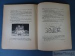 K.E. Ricone - Jannekens wondere avonturen. Met zeer talrijke illustraties van Elza Severin, Regaert, Suetens, e.a. K.E. Ricone - Jannekens wondere avonturen. Met zeer talrijke illustraties van Elza Severin, Regaert, Suetens, e.a.