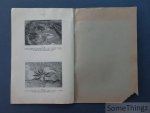A. De Bont, et al. - Premières directives pour l'élevage des poissons en étangs au Katanga: pisciculture des tilapia