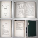 COSTA ROSSETTI, ANTON, - Die Truppenführung im Felde in taktischer Beziehung, eine Sammlung, wissenschaftlich beurtheilter, kriegsgeschichtlicher Beispiele.