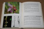 Hans Sundermann - Europäische und mediterrane Orchideen -- Eine Bestimmungsflora