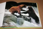 John Pezzenti - Shooting Bears -- The Adventures of a Wildlife Photographer