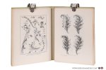 Robert, E. - L'art de la ferronnerie ancienne et moderne. Ses procédés et ses applications. (Tome II - 2e année).