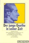 Goethe - Der junge Goethe in seiner Zeit. Samtliche Werke, Briefe, Tagebucher und Schriften bis 1775
