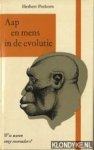 Pothorn, Herbert - Aap en mens in de evolutie. Wie waren onze voorouders?