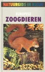 Reichholf, J. / Steinbach, G. / Reichholf-Riehm, H. - Europese zoogdieren.