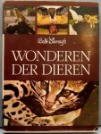 Disney, Walt - Wonderen der dieren