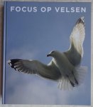Lindhout, Marja & Willeke Heijkoop (eindredactie) - Focus op Velsen [ isbn 9789079165018 ]