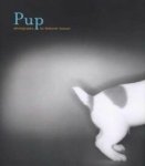 DEBORAH SAMUEL - PUP                 GEB