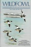 Madge, Steve / Burn, Hilary - Wildfowl. An identification guide to the ducks, geese and swans of the World