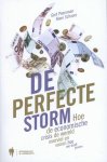Peersman, Gert, Schoors, Koen - De perfecte storm / hoe de economische crisis de wereld overviel en vooral hoe we eruit geraken