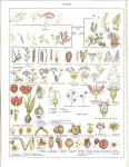Div Auteurs...In de auto - accu, die eigenlijk accu - batterij genoemd zou moeten worden - Duizend blad. Veemarkt in Asmara, en Assisi,stad in Italie - Moderne Nederlandse Encyclopedie in kleuren : de meest voorkomende typen aftekeningen bij koeien,blaarkop en witkop. Druktechnieken, In Bolsward een van de elf steden van Friesland, bevindt zich de grote of St Maartenskerk. En de infrastructuur