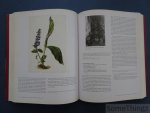 Mack-Andrick, Jessica (Hrsg.) - Grünewald und seine Zeit. Katalog zur Ausstellung Karlsruhe 2007- 2008. Matthias Grunewald.