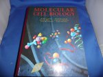 Lodish, Harvey e.a. - Molecular cell biology