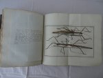 Rösel von Rosenhof, August Johan and C.FC. Kleemann. - De natuurlyke historie der insecten. Voorzien met naar `t Leven getekende en gekoleurde Plaaten. Volgens eigen ondervindling beschreeven, door de Heer August Johann Rösel, van Rosenhof, Miniatuur-Schilder. Met zeer nutte en fraaie Aanmerkingen...