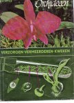 Richter, W - Orchideeën, verzorgen-vermeerderen-kweken