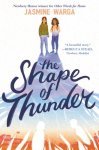 Jasmine Warga - The Shape of Thunder