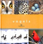 Burger, Joanna - Vogels.