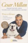 Millan, Cesar - Praktische gids voor een gelukkige hond / 98 tips en trainingen