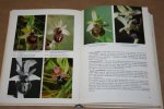 Hans Sundermann - Europäische und mediterrane Orchideen -- Eine Bestimmungsflora