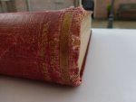 Meerdere - The King of Illustrated Papers. Volume 1 January 6th, 1900 to June 30th, 1900.