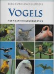 Coomber, Richard - Rebo Foto-Encyclopedie Vogels