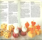 HET NEDERLANDS ZUIVELBUREAU - KAASSNACKS 300 RECEPTEN VOOR UIT EN THUIS en foto's laten zien hoe je het maken moet  * zoals garnalen soesjes of gevulde soesjes met salade *