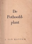 Hattum, Jacob - De pothoofdplant