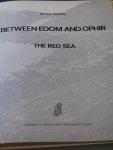 Merom, Peter - Between Edom and Ophir