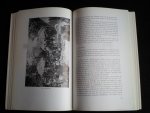 Broekhuijse, J.H. - De Wiligiman-Dani, een cultureel-anthropologische studie over religie en oorlogvoering in de Baliem-Vallei, Proefschrift RU