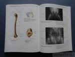 .J. Sobotta - Atlas van de menselijke anatomie. Deel 2: romp, organen, onderste extremiteit.