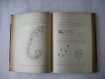Macdougal, Daniel Trembly - The influence of Light and Darkness upon Growth and Development. Memoirs of the New York Botanical Garden Vol.II