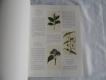 RIX, Martyn (introduction by) - Art in Nature. Over 500 Plants illustrated from Curtis's Botanical Magazine.