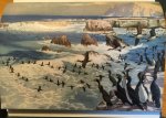 Murphy, Robert Cushman & Francis L Jaques (ill) - Oceanic Birds of South America