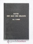 Sneep, Ds. P. - David een man des geloofs --- 7 preken