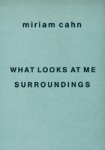 Miriam Cahn - What looks at me surroundings