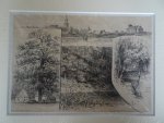 Winterswijk. - Winterswijk. Beek bij Oeding. Eik bij Roerdink. Marmergroeve bij Willink.
