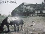 Red. - Boerderij Het Oostrik (Familie- Fotoboek)