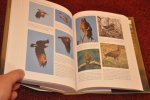 Naoroji, Rishad - Birds of Prey of the Indian Subcontinent Naoroji, Rishad - Birds of Prey of the Indian Subcontinent