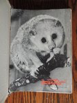 Div. mederwerkers - Artis. Tijdschrift over dieren 1965 compleet
