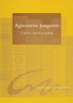 Lange, Marjan de / Klomp, Martin - Agressieve jongeren. Cognitie, emotie en gedrag.